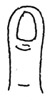 lopata.jpg